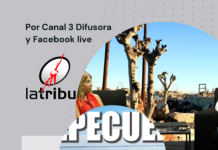 La Tribu 1973 10 5 2022